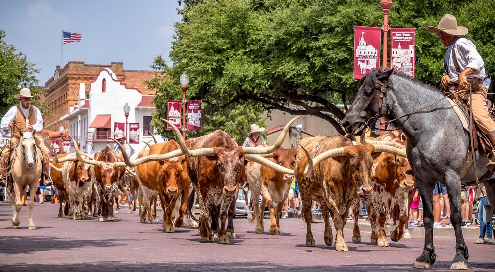 Texas Fort Worth Stampede