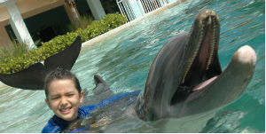 Miami - Seaquarium Dolphin Encounter