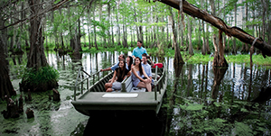 New Orleans - Swamp &amp; Bayou tour