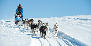 Palmer - Knik Glacier Lodge Helicopter &amp; Dog sledding Adventure 