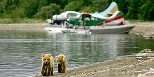Anchorage - Bear Viewing Flight Safari