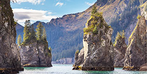 Seward - Kenai Fjords National Park Cruise