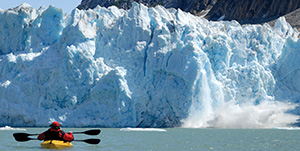 Seward - Half Day Guided Sea Kayaking Tour 