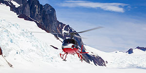 Palmer - Helicopter Flightseeing with Glacier Landing