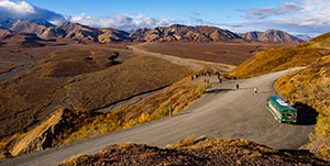 Denali - Full Day Denali Road Tour