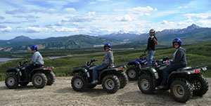 Denali Park - Denali Wilderness quad Adventure