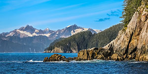 Seward - Kenai Fjords National Park Cruise plus Fox Island 