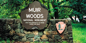 San Francisco - Muir Woods &amp; Sausalito Excursion