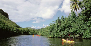 HAWAII - WAIMEA CANYON &amp; WAILUA RIVER Tour