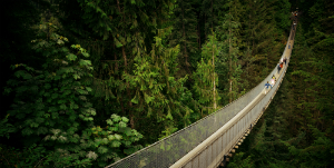 Vancouver - City Tour &amp; Capilano Bridge