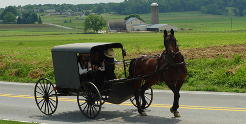 New York - Philadelphia &amp; Amish Country