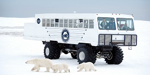 Tundra Buggy Lodge at Polar Bear Point – Enthusiast