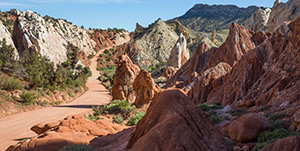 Cottonwood Canyon Grand Staircase Escalante Tour