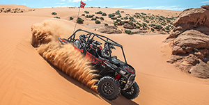 Sand Dune Paradise Tour - ATV