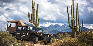 Arizona - Circuit en Hummer dans le désert de Sonora