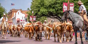 Etats-Unis - Du Texas à la Louisiane